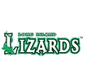 Buy tickets for the Long Island Lizards